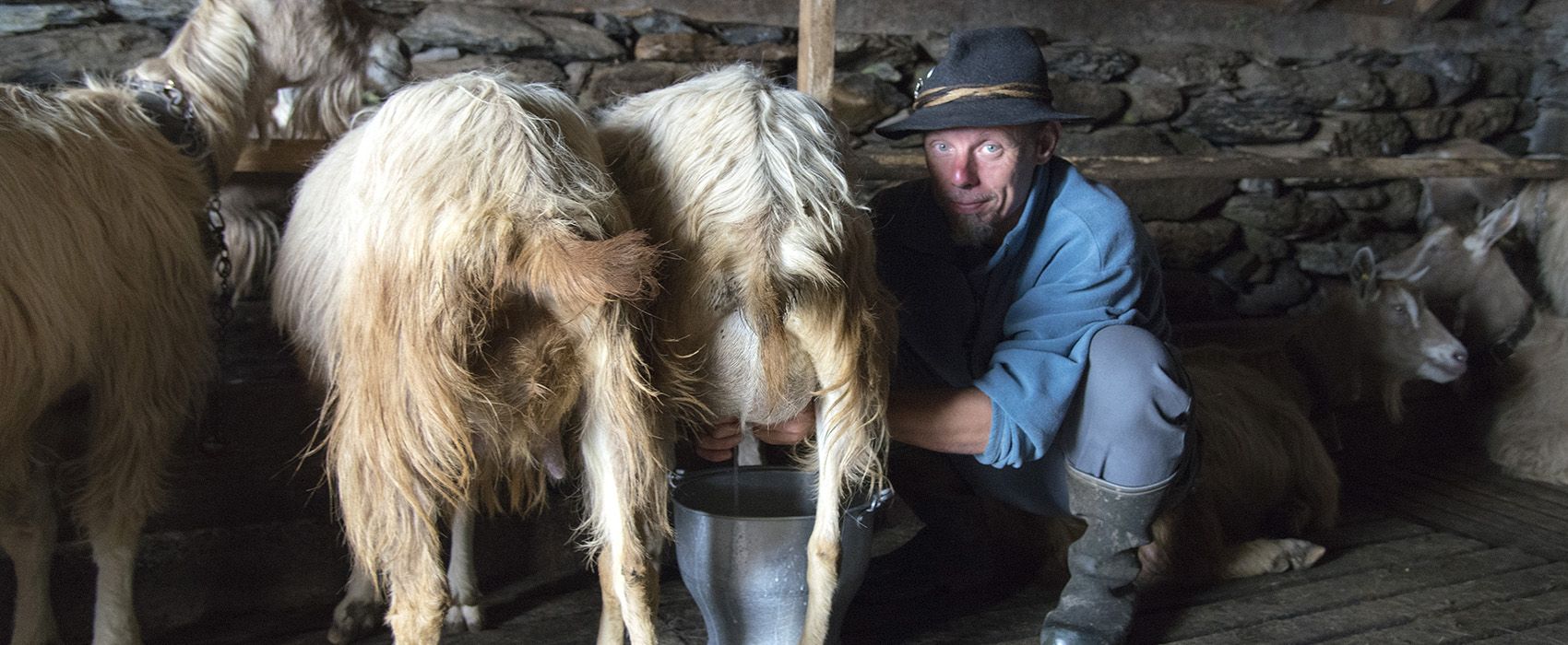 Alp- und Bergleben im Kanton Uri