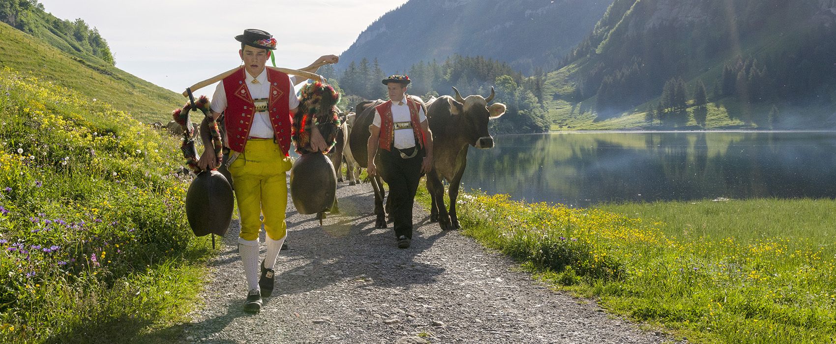 Eindrücke aus dem Bergleben