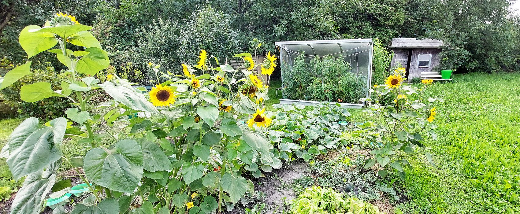 Permakultur-Projekte Beispiele von ökologischen, ökonomischen und sozialen Projekten