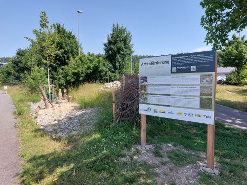 Biodiversitätsförderung Ökologische Aufwertung eines Parkplatzes