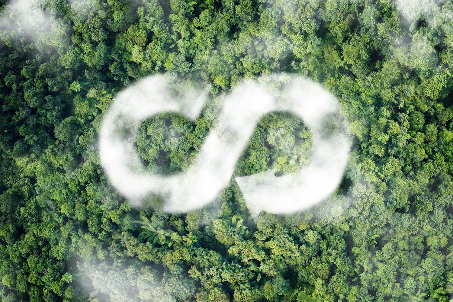 Kreislaufwirtschaft Kreislaufwirtschaft